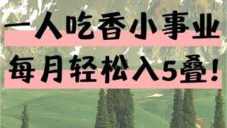 2023灰产网赚创业赚钱项目 分享小白翻身逆袭网上赚钱最快的方法#灰产 #网赚 #网赚项目 #灰色项目 #赚钱最快的方法 #副业 #挣钱 #分享 #赚钱 #躺平 #创业 #网赚教程