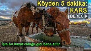 Köyden 5 dakika: Derecik Köyü / Kars / Kasım 2022