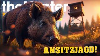 GEDULD bei der ANSITZJAGD zahlt sich aus! | theHunter Call of the Wild