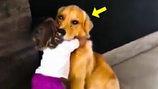 Girl Hugs Dog Just Before Being Put Down. 3 Minutes Later, Vet Screams “Something Is Wrong!”