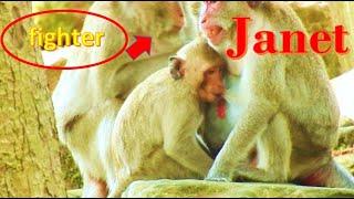 Horror Janet angry . Janet angry blacky monkey Cos Blacky fight & Break her milk with jane