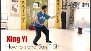 XING YI - San Ti Shi (Opening + Key Points)