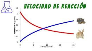 Temperatura y Velocidad de Reacción Química con Pastillas Efervescentes. 