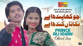 Chokha Pandh Ay Hikka Tan Kandh Ay | Prince Ali Khan | ( Official Video ) | Shaheen Studio