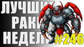 ЛРН выпуск №246 ️ САМЫЙ ЗАБРОНИРОВАННЫЙ ТАРАНТАС МИРА ТАНКОВ [Лучшие Раки Недели]