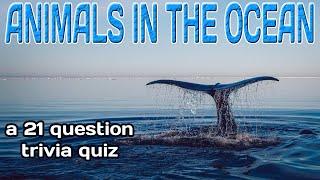 ANIMALS IN THE OCEAN - a 21 question fun trivia game!  {ROAD TRIpVIA- ep:543]