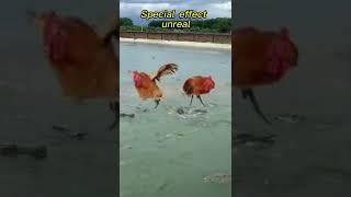 wow super comedy show