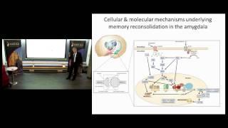 Provost, Professor Barry Everitt, on memory plasticity