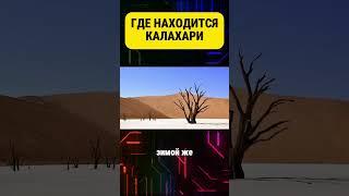 Пустыня Калахари #калахари #пустыня #намибия