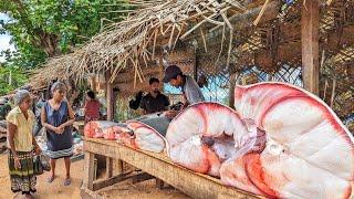 Hard Day in the Life of Villagers – Selling the Freshest Catch at a Rural Market!