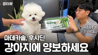 강아지 눈물, 알러지, 발사탕 아직도 고민이세요? 집에선 이렇게 해주세요 | 멍터뷰ep.7