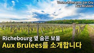 [Eng.sub] Vosne Romanee 1er Cru Aux Brulees