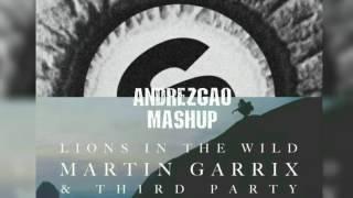 Lions In The Wild vs. Dragon (Martin Garrix Mashup UMF 2017) (ANDREZGAO REMAKE)