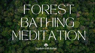 10 Minute Daily Guided Meditation | Forest Bathing Meditation | Yogalates with Rashmi