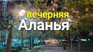 Клеопатра вечером, Аланья