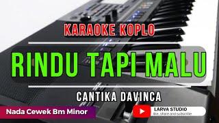 RINDU TAPI MALU Karaoke Nada Cewek Versi Koplo || Larva Studio.