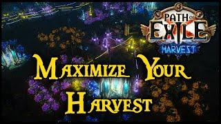 Harvest League Easy Garden Setup - Can Grow All Tiers of Seeds (Path of Exile) (Path of Exile)