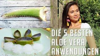 Aloe Vera Gel Schaum Anti-Aging | Haarausfall stoppen  - 5 beste Anwendungen selber machen