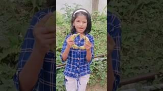 Drishti ne monkey ko kitna banana diya#shorts #video ...