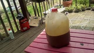 Follow up video on making your own EM1 effective microbes for plant and soil