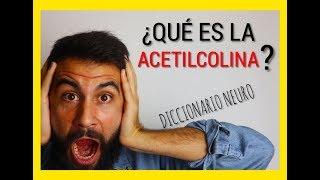 ¿Qué es la ACETILCOLINA?