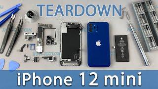 iPhone 12 mini Teardown