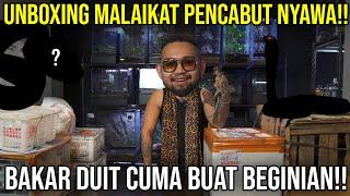 UNBOXING MALAIKAT PENCABUT NYAWA!! BAKAR DUIT CUMA BUAT BEGINIAN?! #indoexotic