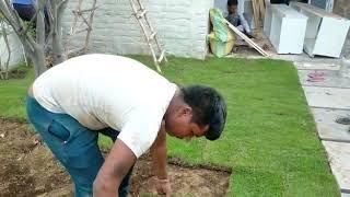 Gardening & Landscaping Services in Dwarka, Delhi - Balaji Nursery
