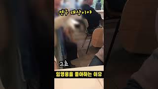 할머니가 임영웅을 좋아하는 이유    #임영웅매력