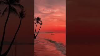 Visit Thailand #bokeh  #thailand #nature#short  #adventure #viral #fyp #travel #shorts #wonderful