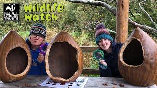 Wildlife Wednesday: Be a nut detective!