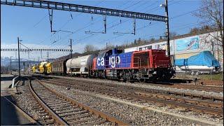 SBB Cargo Am 843 092 mit Kurzgüterzug