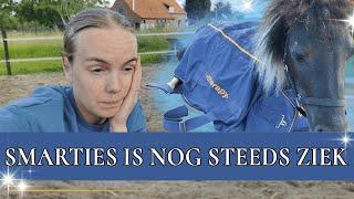 Wat gaat er nu met Smarties gebeuren? | PaardenpraatTV