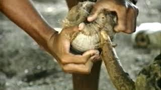 RAIATEA TAHAA 1992 FABRICE NAVARRO