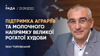 Іван Чайківський щодо важливості підтримки аграріїв, молочного напрямку великої рогатої худоби