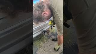 RYOBI PSBIW25B COMPACT IMPACT WRENCH with 8 AMP 21700 Battery TRYING to remove my 1 1)2 NUTT