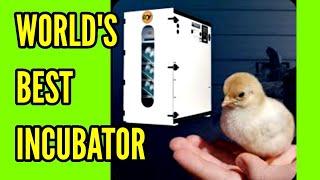 WORLD'S BEST INCUBATOR - Unboxing GQF 1502 Sportsman's Cabinet Incubator