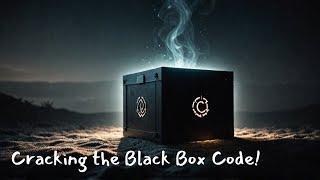 What You Don't Know Can Kill You: The Black Box Problem in AI