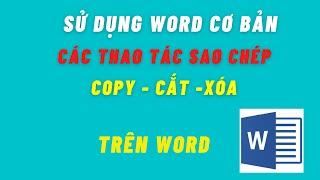 Các thao tác Sao Chép, Copy, Cắt, Xoá trên Word - Cho người mới