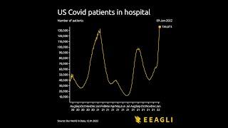 US Covid patients in hospital