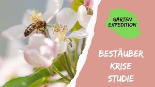 Bestäuber Krise - Studie - Was wir dagegen tun können -  Gartenexpedition #naturgarten #sience