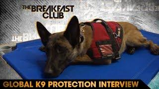 Global K9 Protection Founder Courtney Graham-Robbins Brings Envy His New Guard Dog