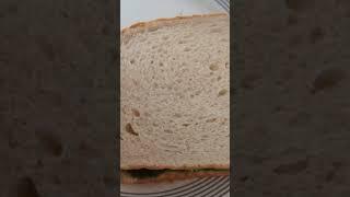 Quick Spinach Aloo Sandwich