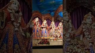 iskcon MAYAPUR Darshan short video | Radhamadhab dorshon short video