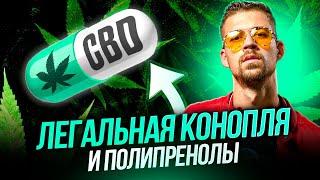 ЛЕГАЛЬНАЯ КОНОПЛЯ? CBD + Полипренолы. Для здоровья, иммунитета и нервной системы. Никита Метелица