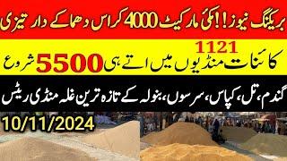 Today Wheat price in punjab//گندم کا ریٹ 2024/munji makki till sarso/Galla mandi rate today