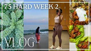 FITNESS VLOG | 75 HARD WEEK 2: Workouts,  Beach Days ️ High Protein Meal Prep  Hike, Veggie Garden