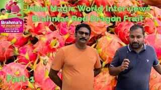 Jobin Magic World Interviews Brahmas Red Dragon Fruit