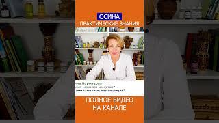 ДОЗИРОВКА ОСИНЫ!  Как правильно выбрать между СЛАБОЙ и СИЛЬНОЙ? #shotrs #осина #фитотерапия