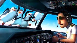 Il pleut des pingouins ! | Les Pingouins de Madagascar | Extrait VF